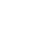Icon_2 (1)-1