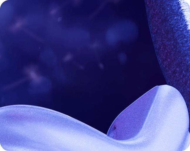 Soft_fabric-focused_design