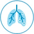 img-pulmao